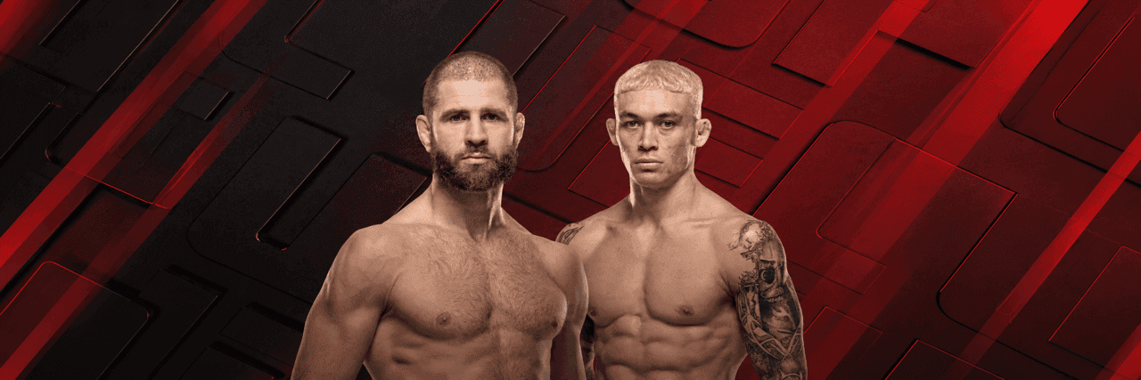 UFC Fight Night: Prochazka vs Stirling MMA event at ABHA Arena, Doha, Qatar — Nov 21